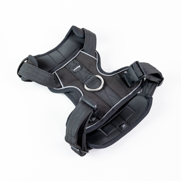 Street Dogs - Arnés COMFORT - Black