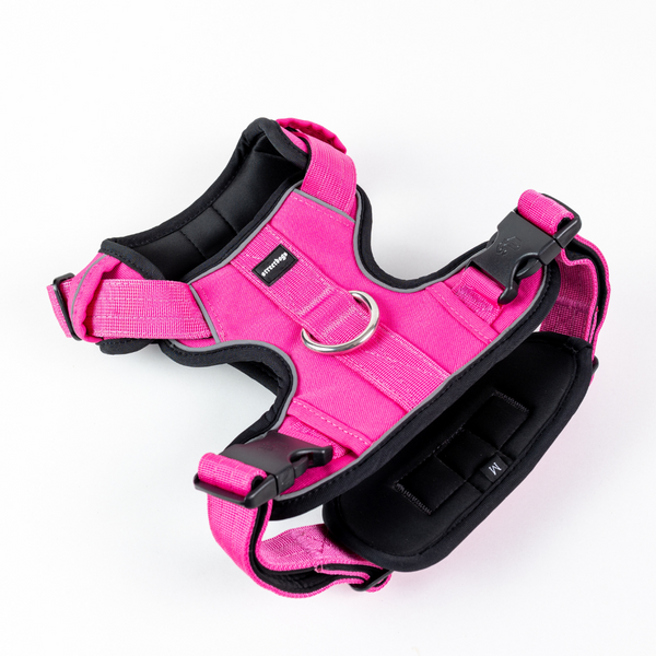 Street Dogs - Arnés COMFORT - Pink