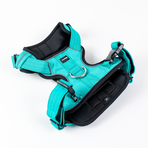 Street Dogs - Arnés COMFORT - Turquoise