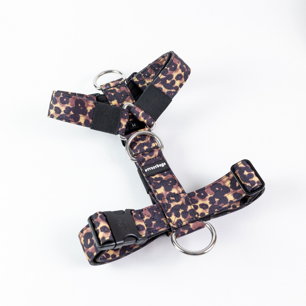 Street Dogs - Arnés STRAP - Animal Print