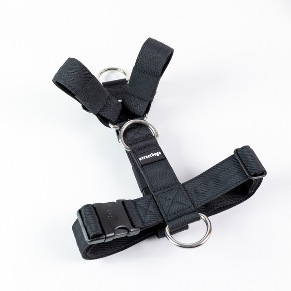 Street Dogs - Arnés STRAP - Black