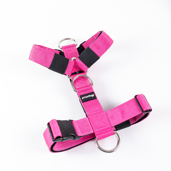 Street Dogs - Arnés STRAP - Pink